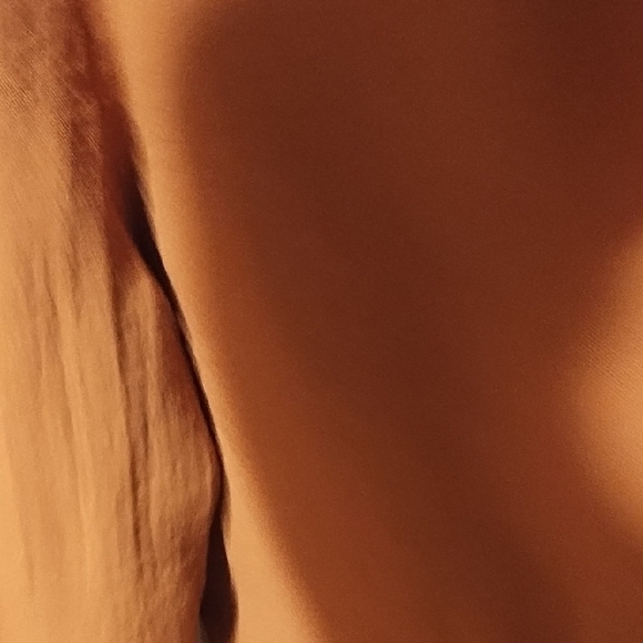 A New Day Lime New Women's Brown Tie-Waist Pants Size Small, Elastic Waist. - Picture 11 of 11